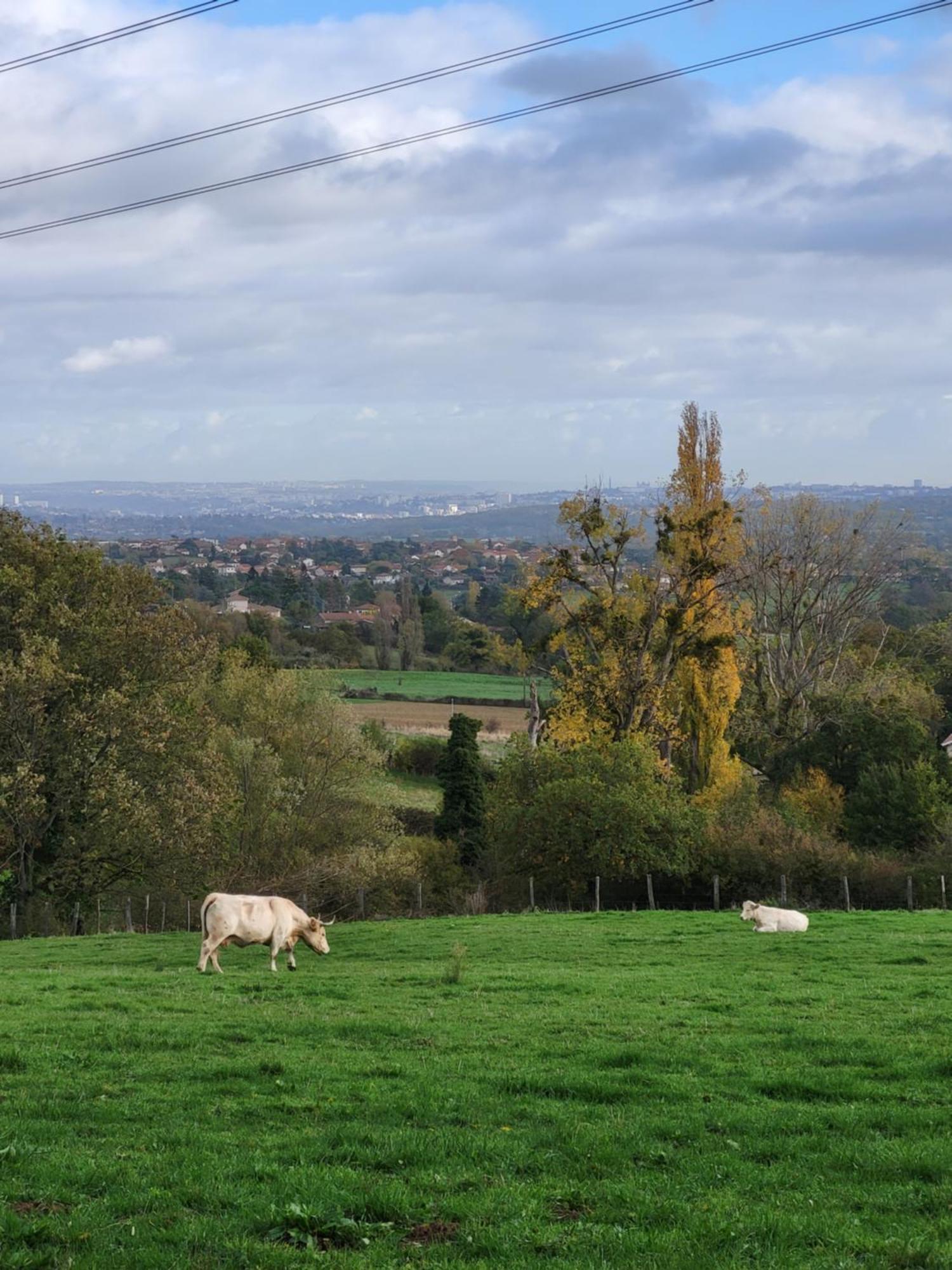 Appart'Hotel Le Clos Lassagne A Brignais - Lyon Sud Экстерьер фото